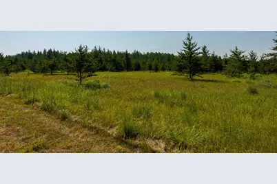 Tract 2 - 39794 259th Ave, Menahga, MN 56464 - Photo 29