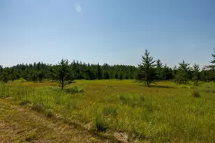 Tract 2 - 39794 259th Ave, Menahga, MN 56464 - Photo 29