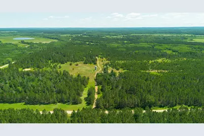 Tract 2 - 39794 259th Ave, Menahga, MN 56464 - Photo 3