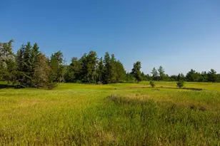 Tract 2 - 39794 259th Ave, Menahga, MN 56464 - Photo 21