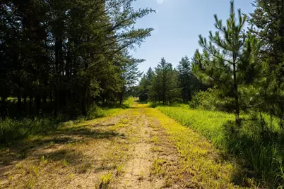 Tract 2 - 39794 259th Ave, Menahga, MN 56464 - Photo 17