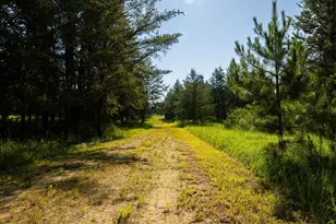 Tract 2 - 39794 259th Ave, Menahga, MN 56464 - Photo 17