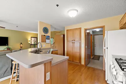 497 Pleasant Lane, Chaska, MN 55318 - Photo 9
