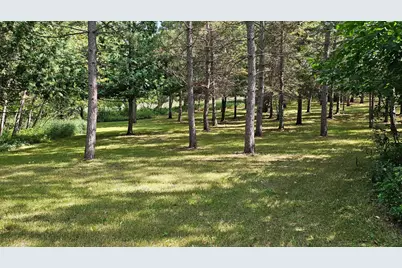 460 Ash Street, Gonvick, MN 56644 - Photo 59
