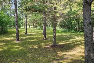 460 Ash St, Gonvick, MN 56644 - Photo 57