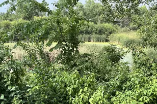 13954 Erwin Ct, Eden Prairie, MN 55344 - Photo 15