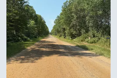 29910 County 109, Menahga, MN 56464 - Photo 19