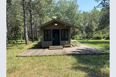 29910 County 109, Menahga, MN 56464 - Photo 3