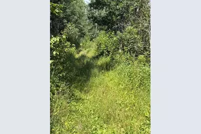 29910 County 109, Menahga, MN 56464 - Photo 21