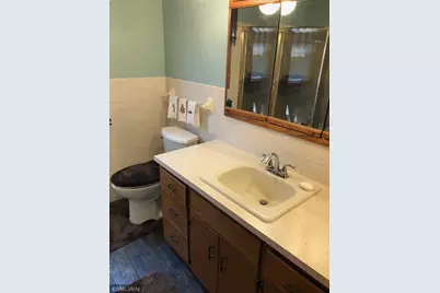 311 W Borden Avenue, Buffalo Lake, MN 55314 - Photo 19