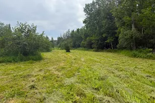 42050 Little Pine Rd, Emily, MN 56447 - Photo 115