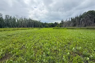 42050 Little Pine Rd, Emily, MN 56447 - Photo 111