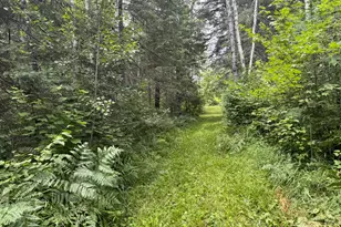 42050 Little Pine Rd, Emily, MN 56447 - Photo 123