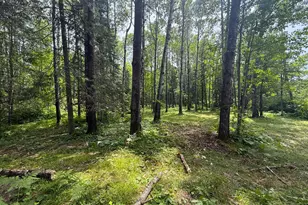 42050 Little Pine Rd, Emily, MN 56447 - Photo 125