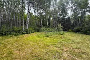 42050 Little Pine Rd, Emily, MN 56447 - Photo 121
