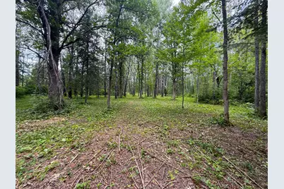 42050 Little Pine Road, Emily, MN 56447 - Photo 129