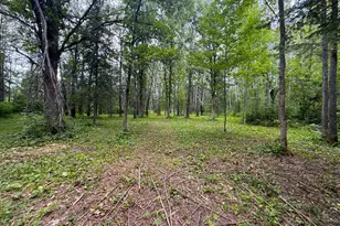 42050 Little Pine Rd, Emily, MN 56447 - Photo 129