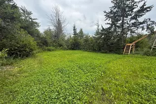 42050 Little Pine Rd, Emily, MN 56447 - Photo 109