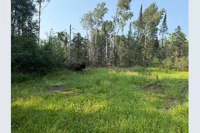 1159 Hwy 83/Overton Rd., Meadowlands, MN 55765 - Photo 31