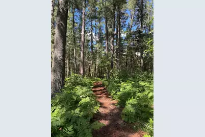 4728 Sioux Camp Road NE, Longville, MN 56655 - Photo 5