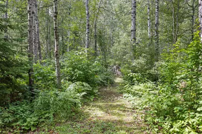 8557 Highway 21 N, Babbitt, MN 55706 - Photo 27
