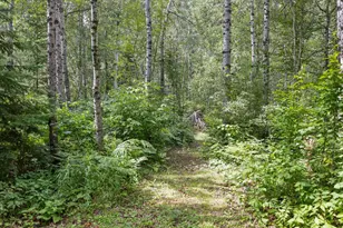 8557 Hwy 21 N, Babbitt, MN 55706 - Photo 27