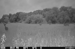 27714 County 25 S, Peterson, MN 55962 - Photo 81