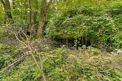 27714 County 25 S, Peterson, MN 55962 - Photo 55