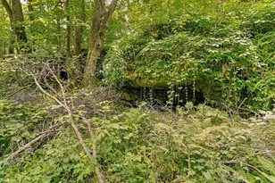 27714 County 25 S, Peterson, MN 55962 - Photo 55