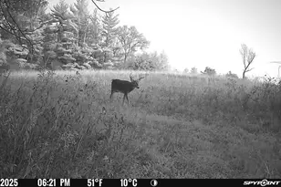 27714 County 25 S, Peterson, MN 55962 - Photo 69
