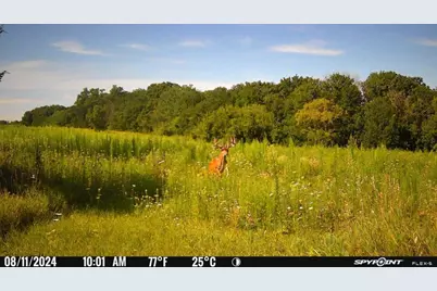27714 County 25 S, Peterson, MN 55962 - Photo 67