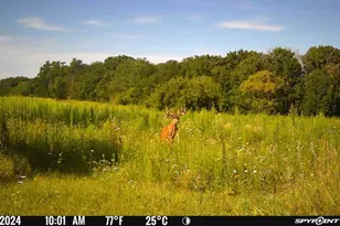 27714 County 25 S, Peterson, MN 55962 - Photo 67