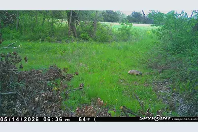 27714 County 25 S, Peterson, MN 55962 - Photo 63