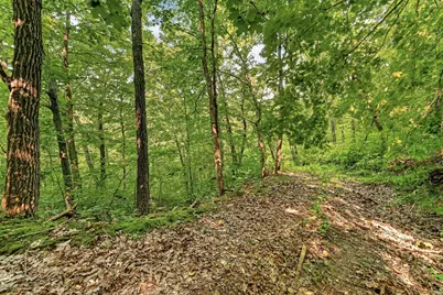 27714 County 25 S, Peterson, MN 55962 - Photo 53