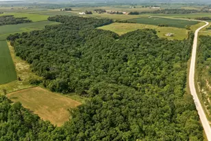 27714 County 25 S, Peterson, MN 55962 - Photo 5