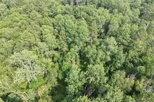 22034 County 2, Nevis, MN 56467 - Photo 35