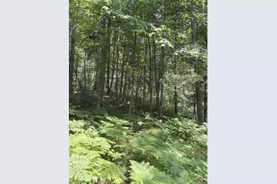 3500 N Historic Road, Weyerhaeuser, WI 54895 - Photo 25