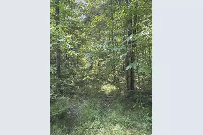 3500 N Historic Road, Weyerhaeuser, WI 54895 - Photo 27