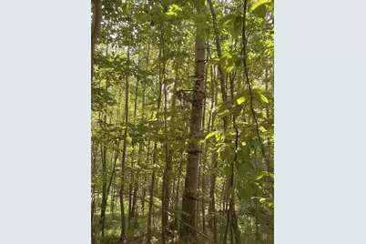3500 N Historic Road, Weyerhaeuser, WI 54895 - Photo 29