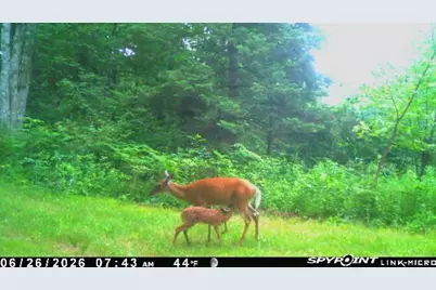 3500 N Historic Road, Weyerhaeuser, WI 54895 - Photo 47