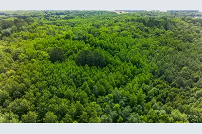 21169 Firefly Trail, Akeley, MN 56433 - Photo 37
