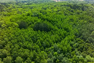 21169 Firefly Trail, Akeley, MN 56433 - Photo 37