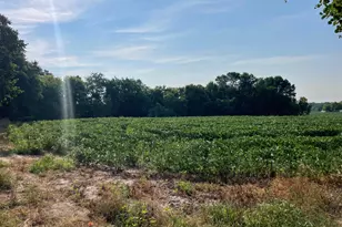 Xxx 130th Ave, Milaca, MN 56353 - Photo 1