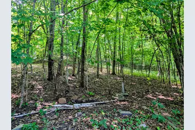 22297 County 38, Long Prairie, MN 56347 - Photo 7