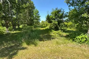 45225 State Hwy 28, Morris, MN 56267 - Photo 11