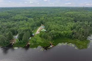 40330 Bray Lake Rd, Nashwauk, MN 55769 - Photo 59