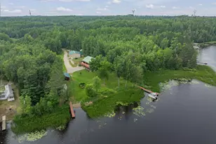 40330 Bray Lake Rd, Nashwauk, MN 55769 - Photo 5