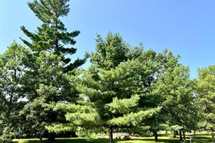 2841 Timberlane Way SW, Bemidji, MN 56601 - Photo 25