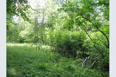 Tbd Alpine Circle, Breezy Point, MN 56472 - Photo 5