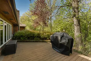 25226 720th St, Hayfield, MN 55940 - Photo 33